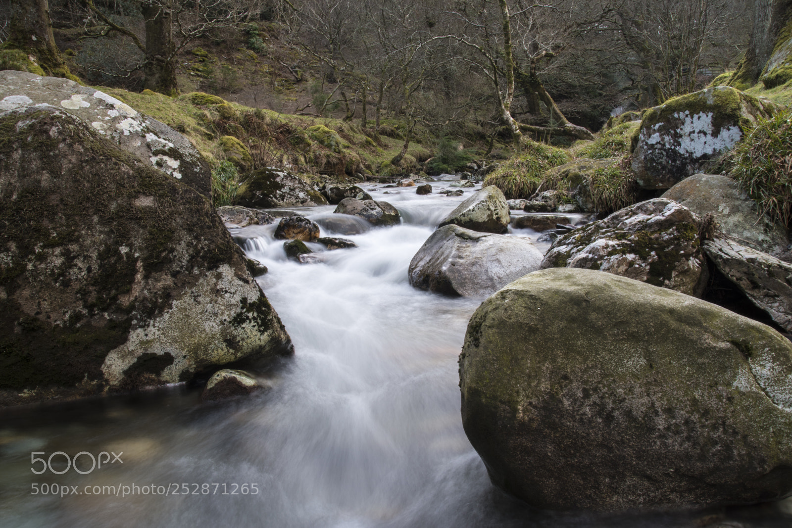 Nikon D5500 sample photo. Soft water photography