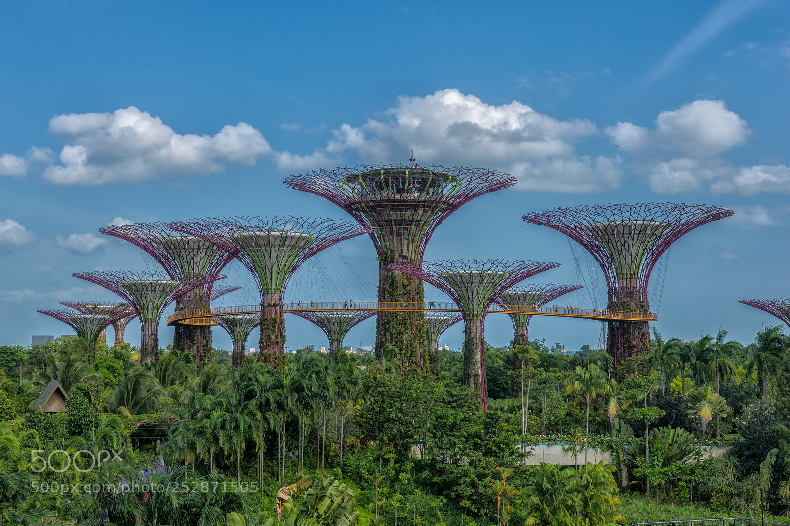 Sony ILCA-77M2 sample photo. Marina bay garden photography
