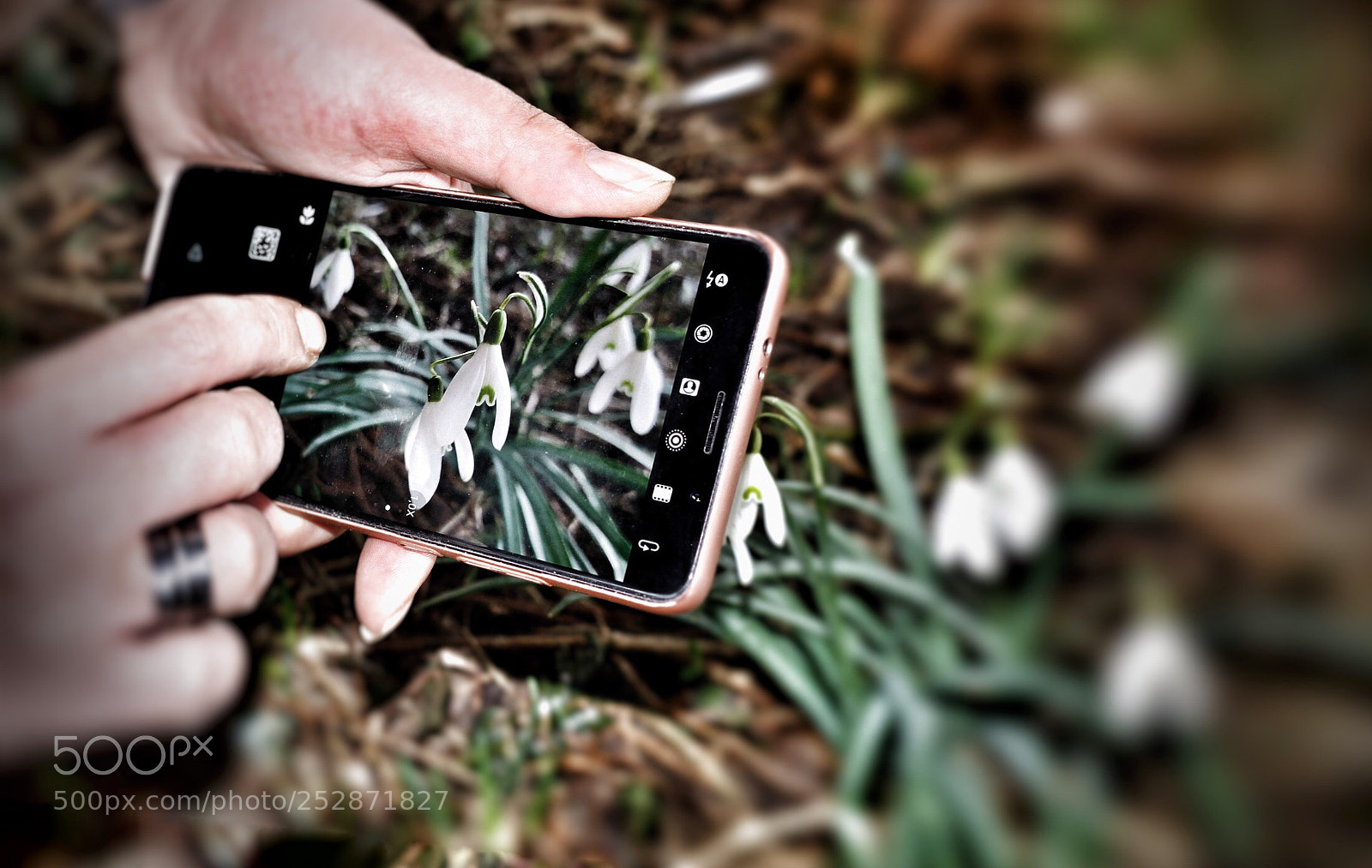 Canon EOS 7D sample photo. Thrue a lense photography