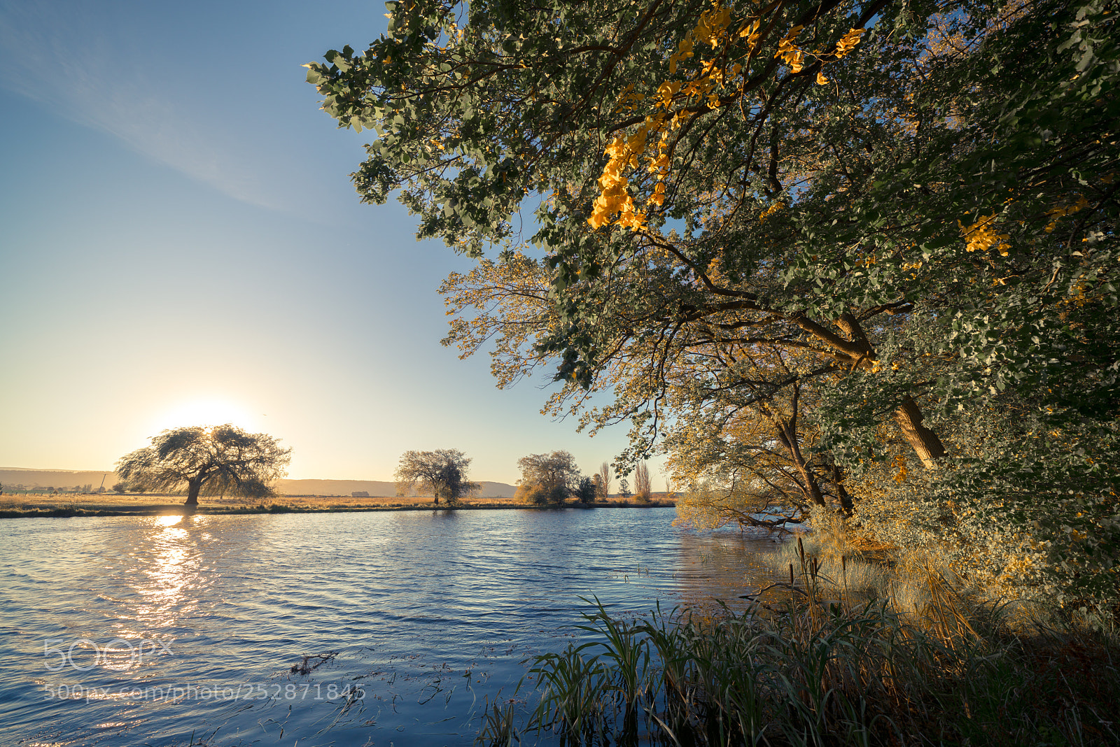 Sony a7R II sample photo. Ross photography