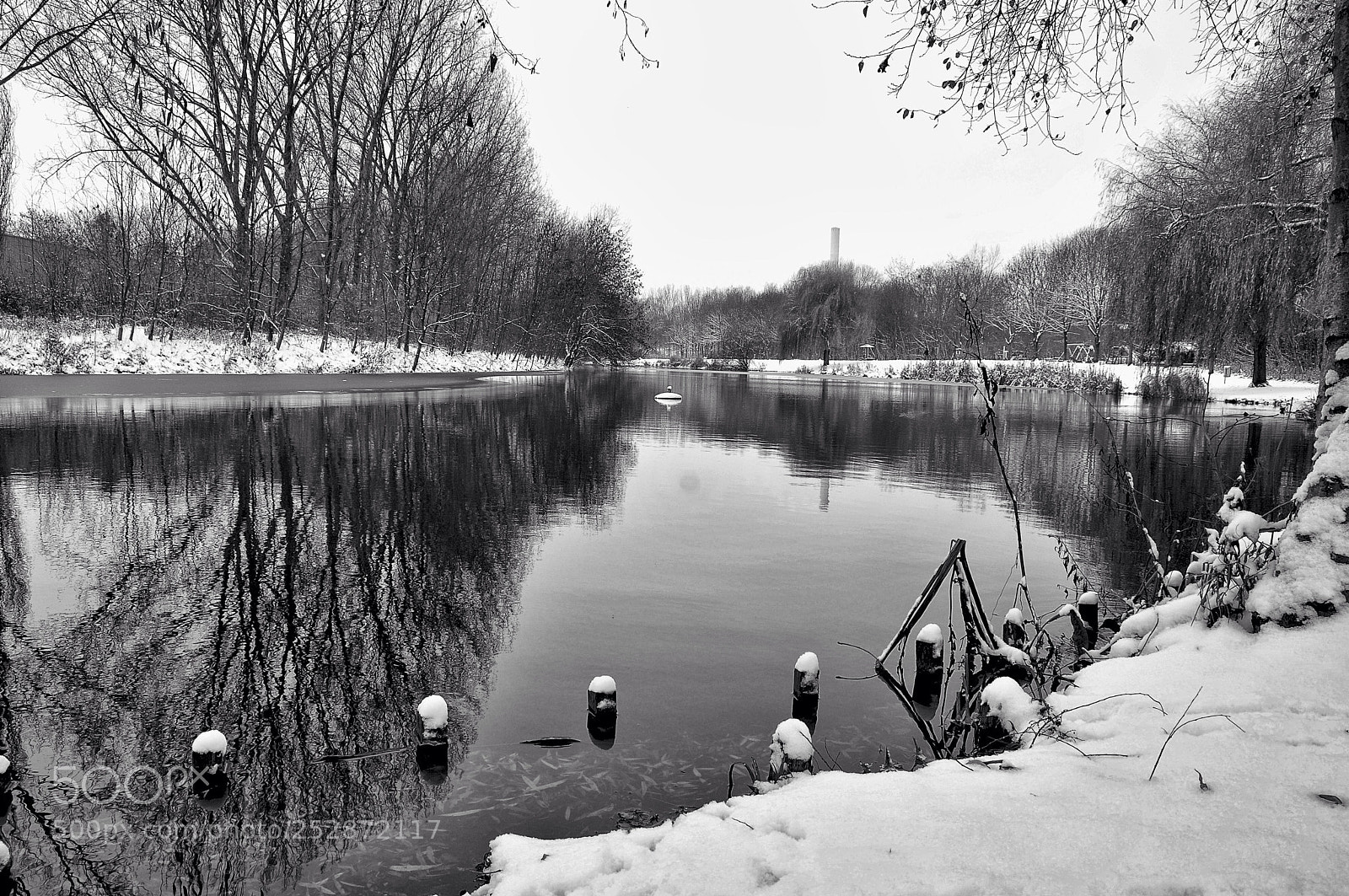Nikon D300 sample photo. Winter  photography