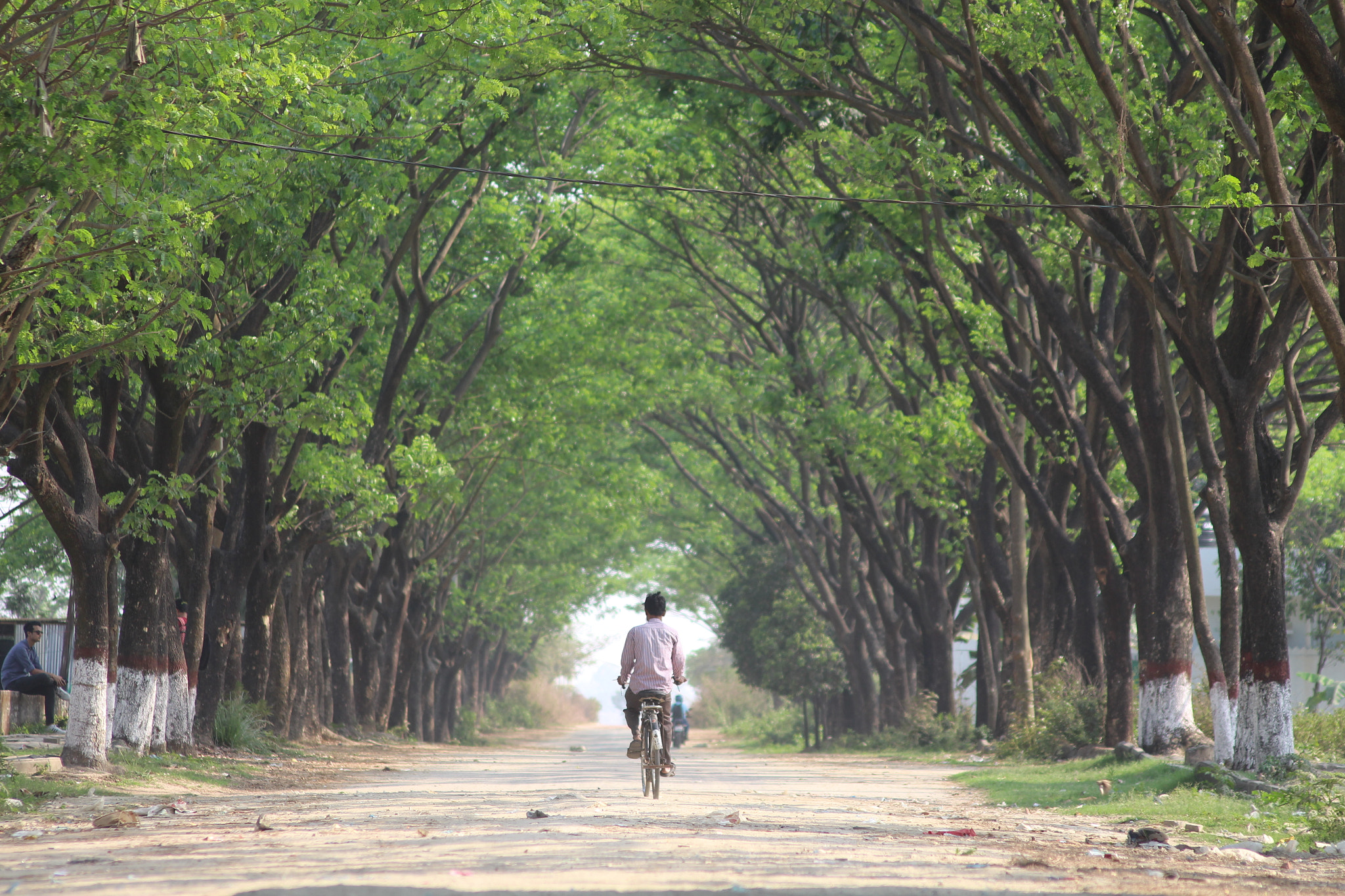 Canon EOS 700D (EOS Rebel T5i / EOS Kiss X7i) sample photo. None characterized thing photography