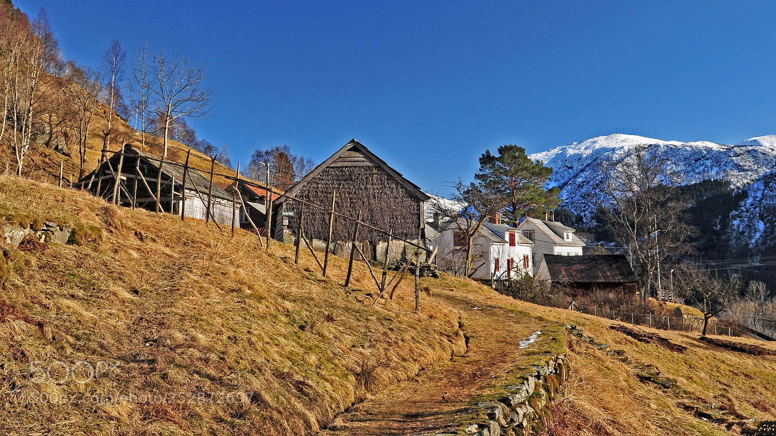 Nikon D300 sample photo. Old farm photography