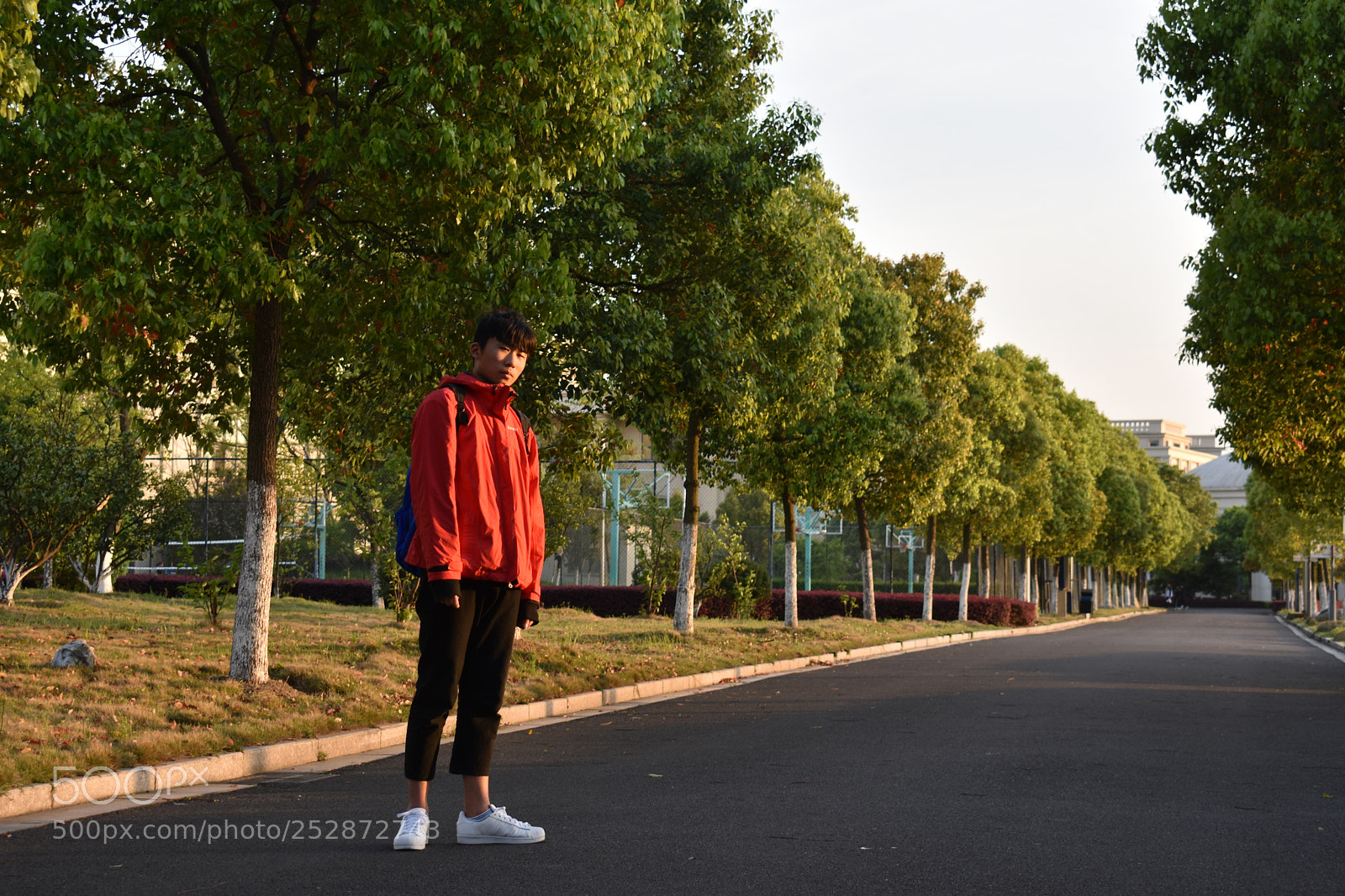 Nikon D3400 sample photo. 阳光少年 photography