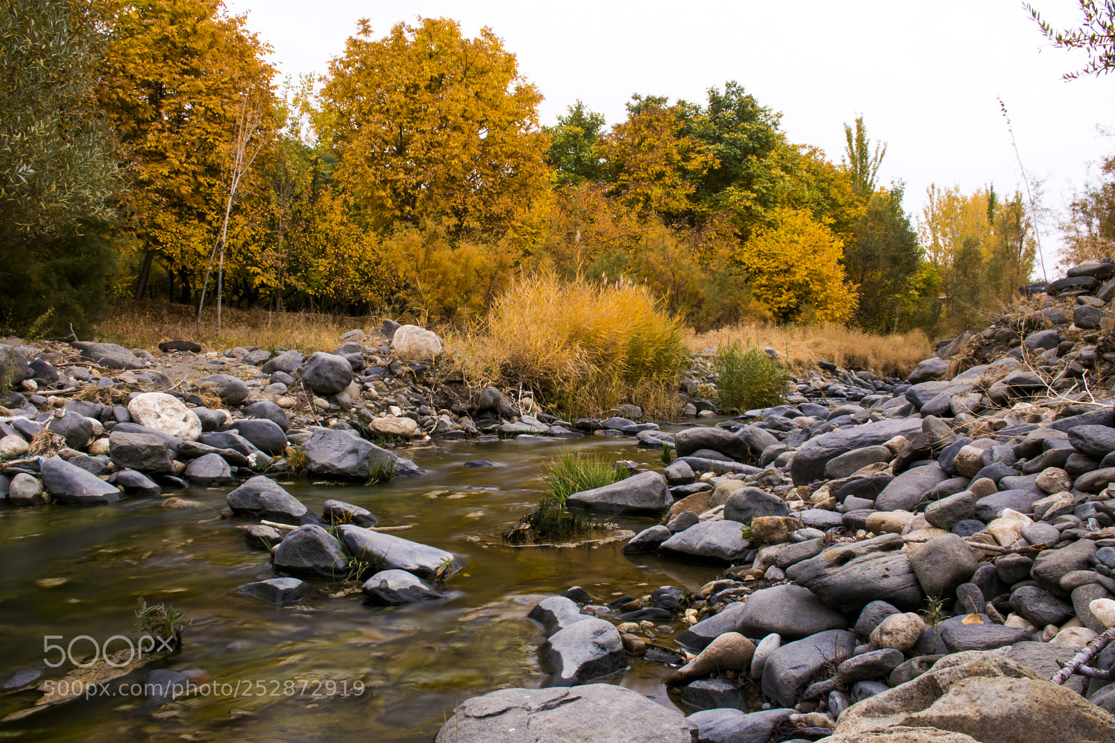 Nikon D7100 sample photo. Water shortage photography