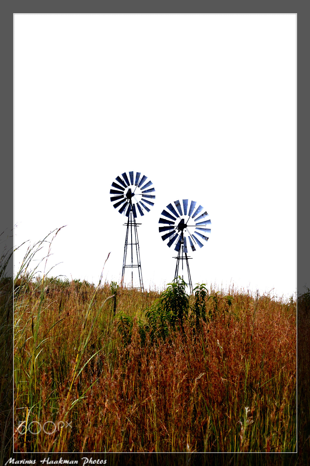 Canon EOS 500D (EOS Rebel T1i / EOS Kiss X3) + Canon EF 50mm F1.8 STM sample photo. Twee windpompe / two windmills photography
