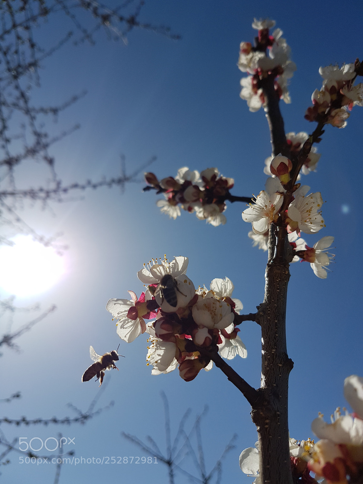 Samsung Galaxy S7 Edge sample photo. Untitled photography