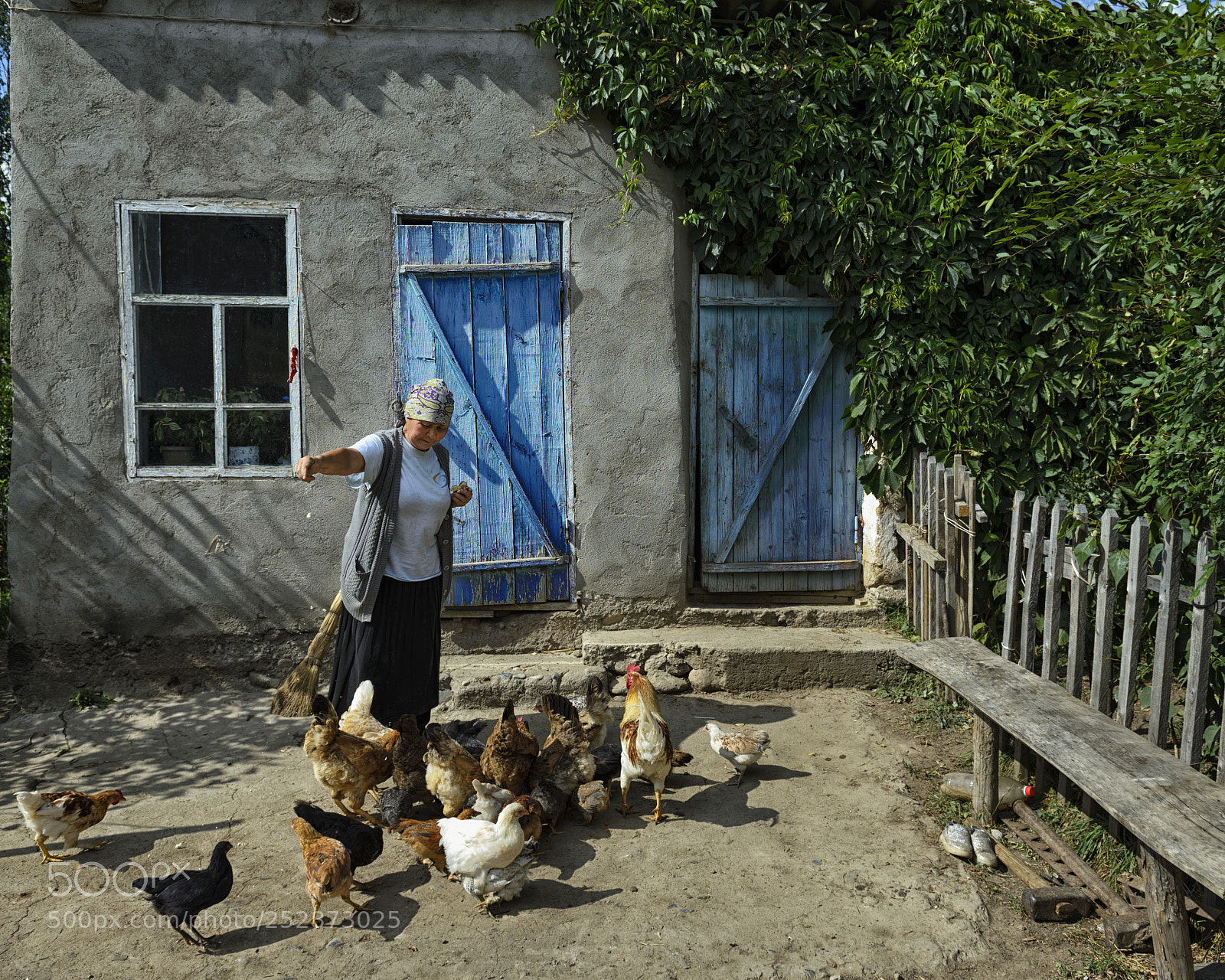 Nikon D600 sample photo. Kyrgyz women with chicken  photography