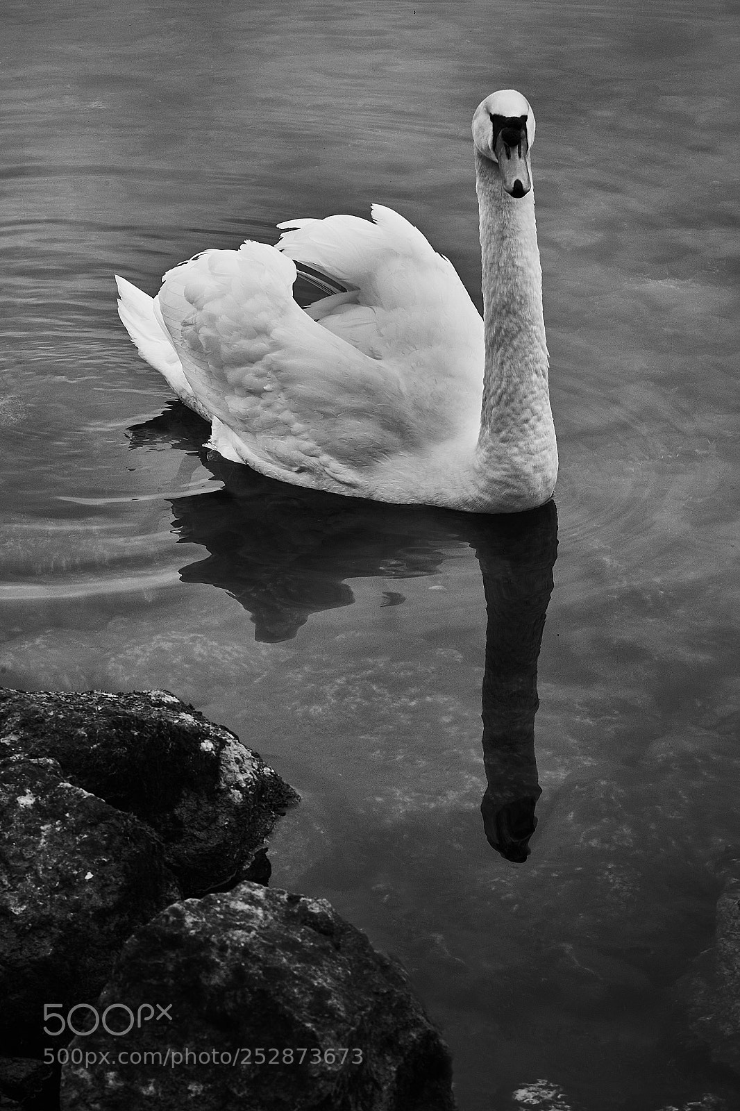 Fujifilm X-T1 sample photo. Bielersee_ostern_2018 photography