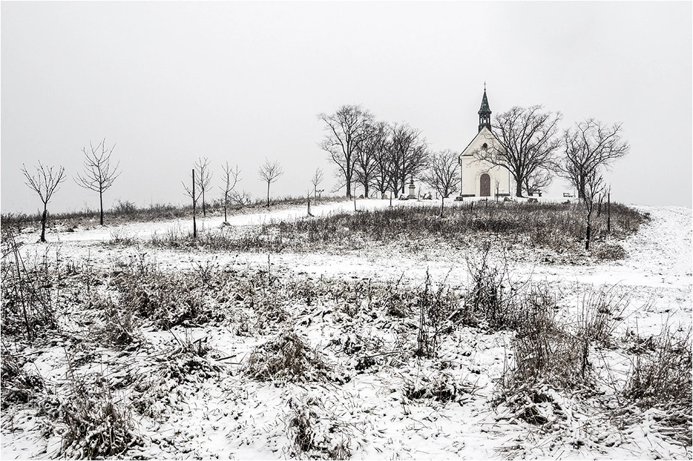Olympus OM-D E-M10 II sample photo. Chapel photography