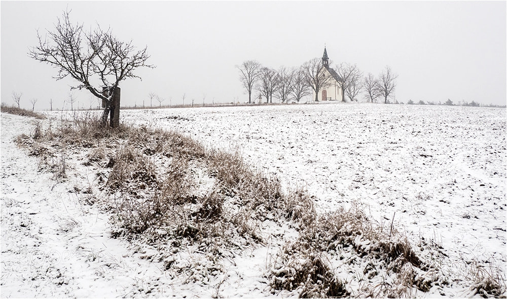 Olympus OM-D E-M10 II sample photo. Chapel photography