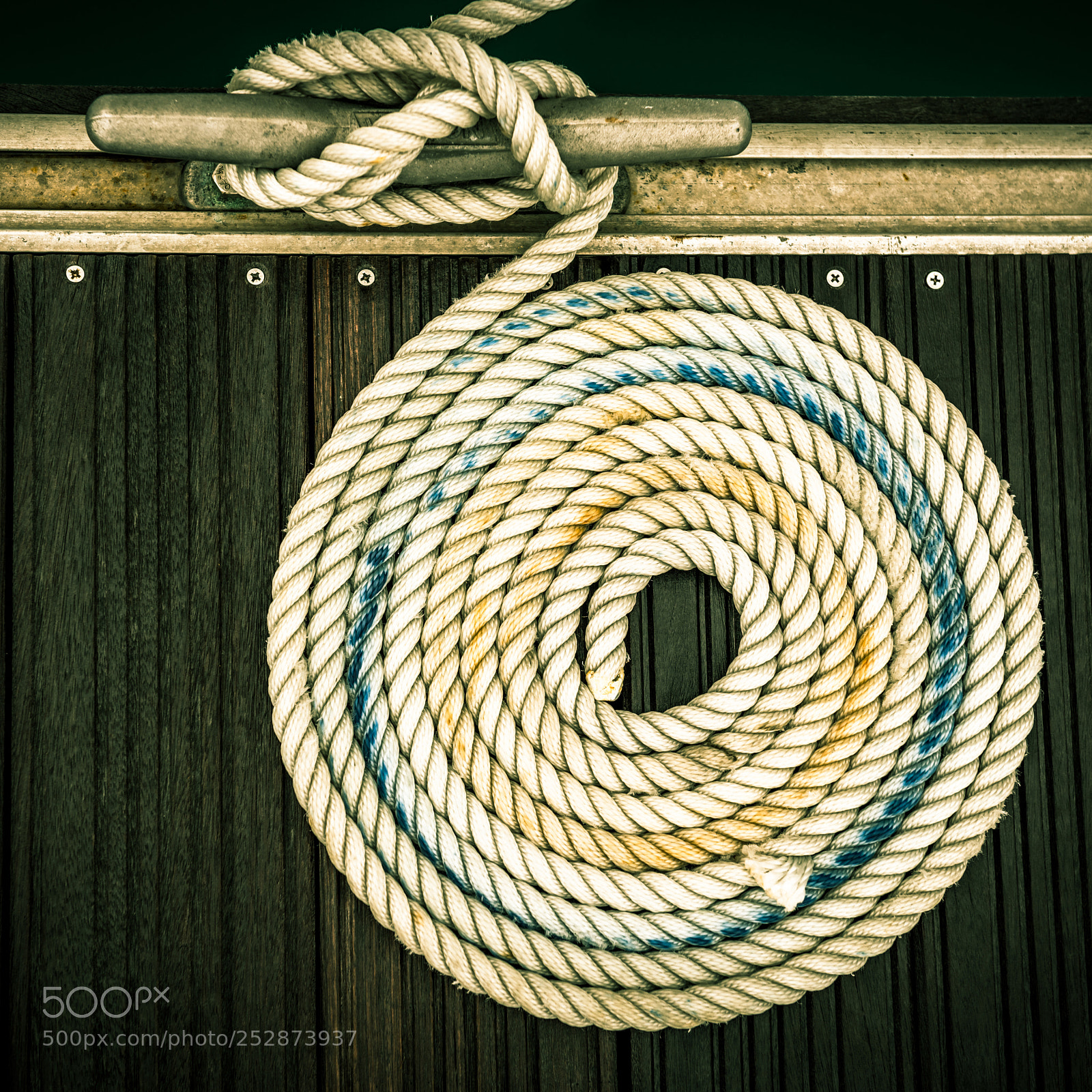 Nikon D810 sample photo. Nautical mooring rope photography