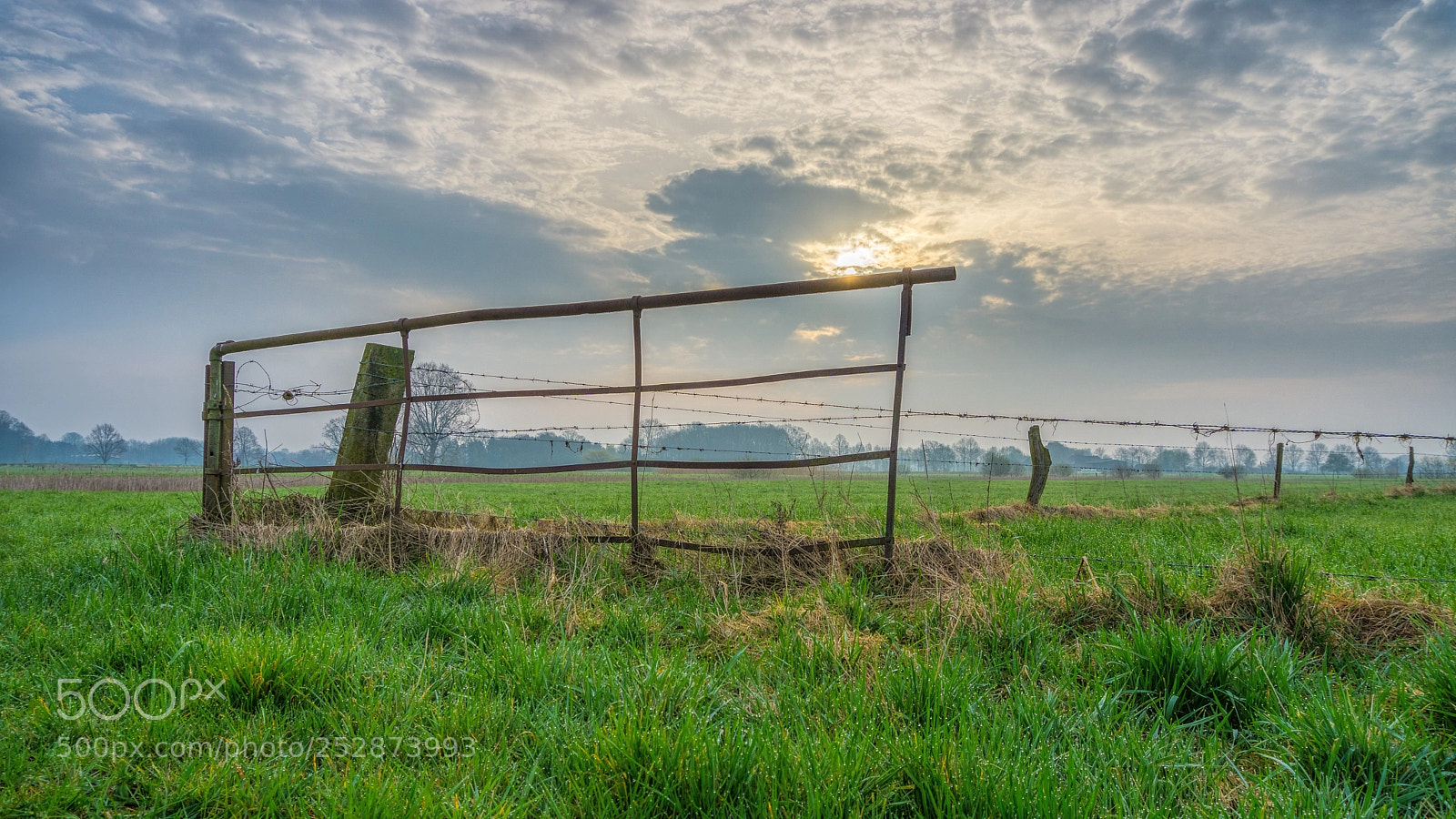 Sony a6000 sample photo. Grassland photography