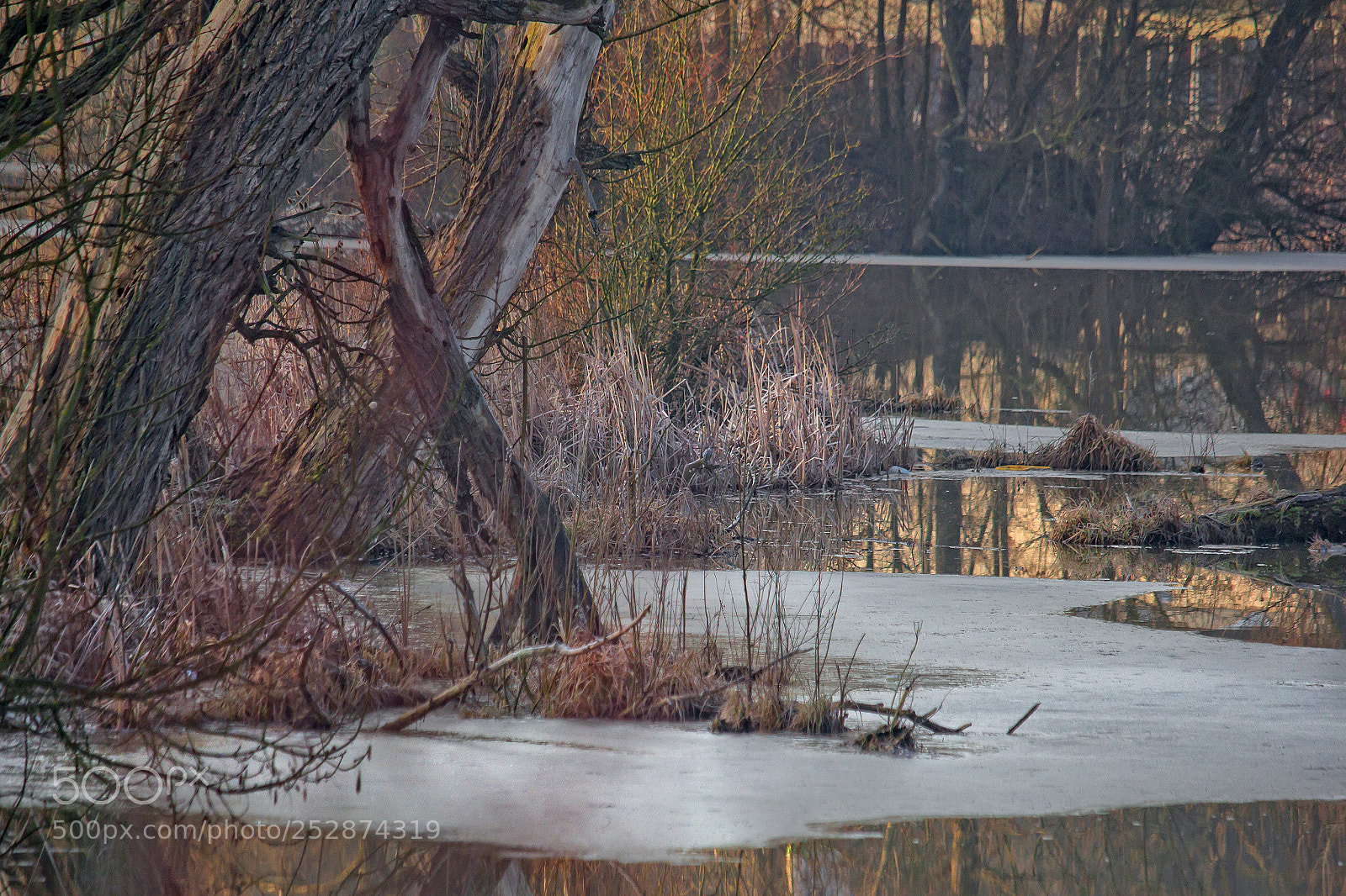 Canon EOS 60D sample photo. The wilderness of nature photography