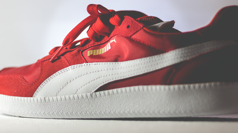Canon EOS 700D (EOS Rebel T5i / EOS Kiss X7i) sample photo. Puma photography