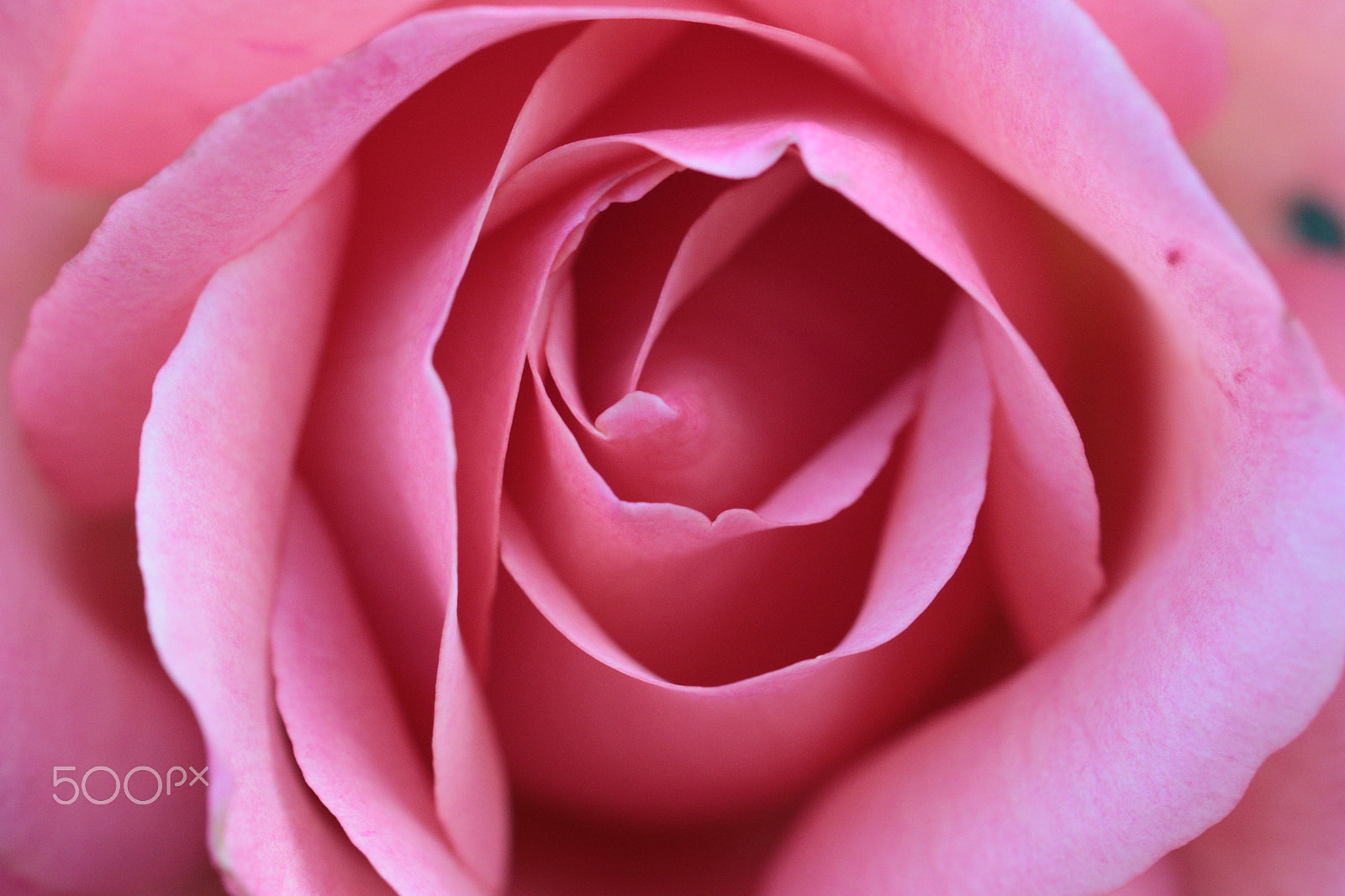 Canon EF 100mm F2.8L Macro IS USM sample photo. Tourbillon photography
