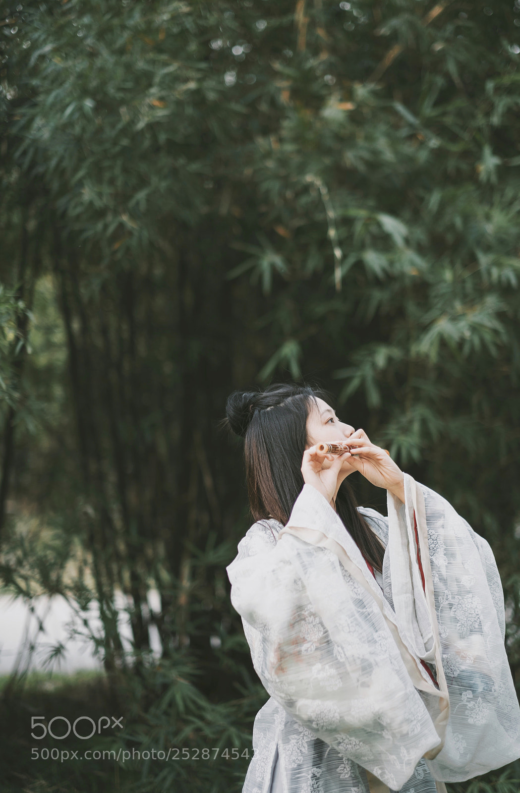 Fujifilm X-T2 sample photo. Untitled photography