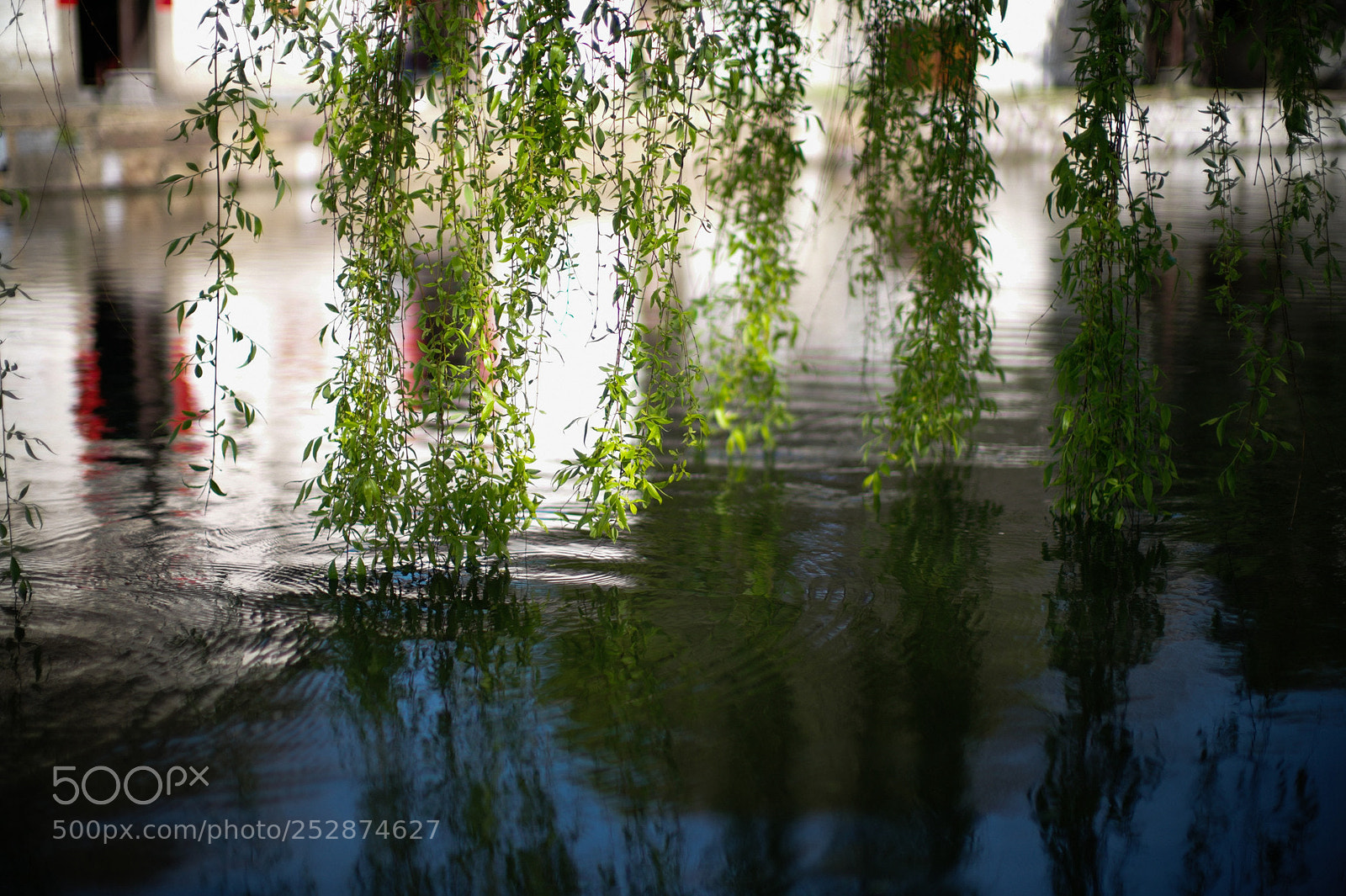 Leica M9 sample photo. L photography