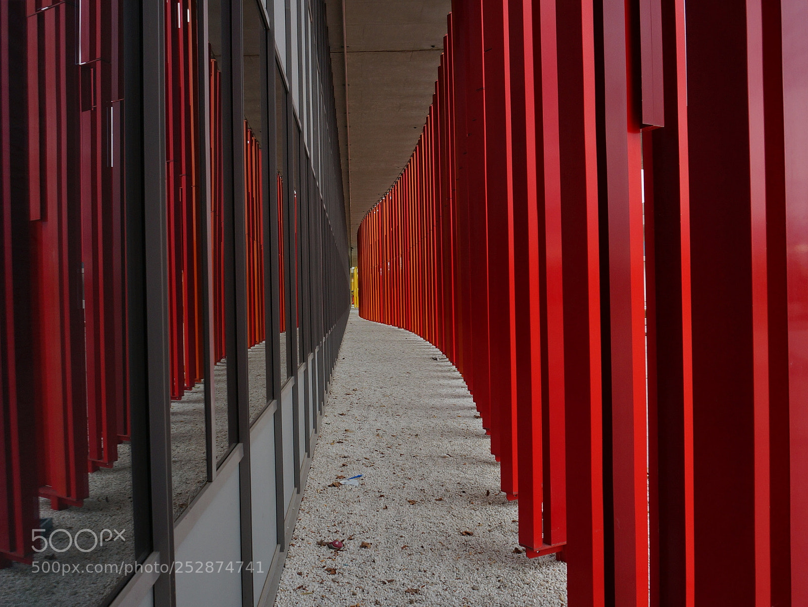 Sony Alpha NEX-6 sample photo. Rojos photography
