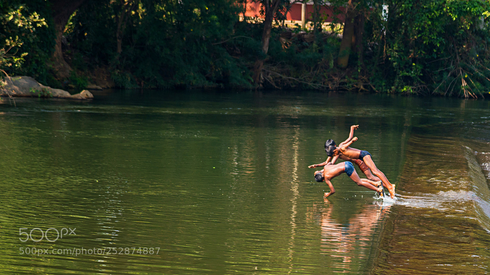Nikon D800E sample photo. Diving photography