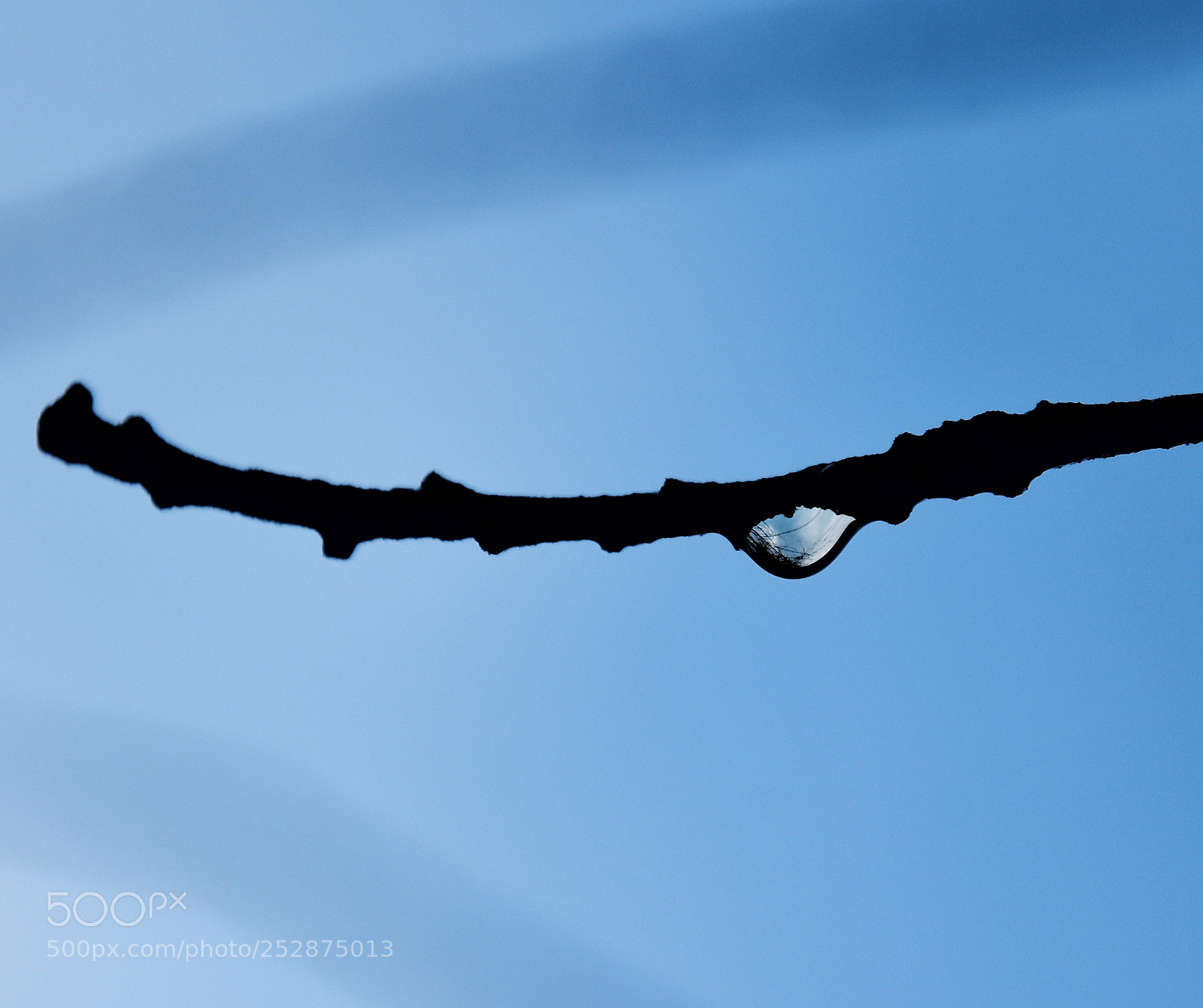 Nikon D7200 sample photo. Solitude photography
