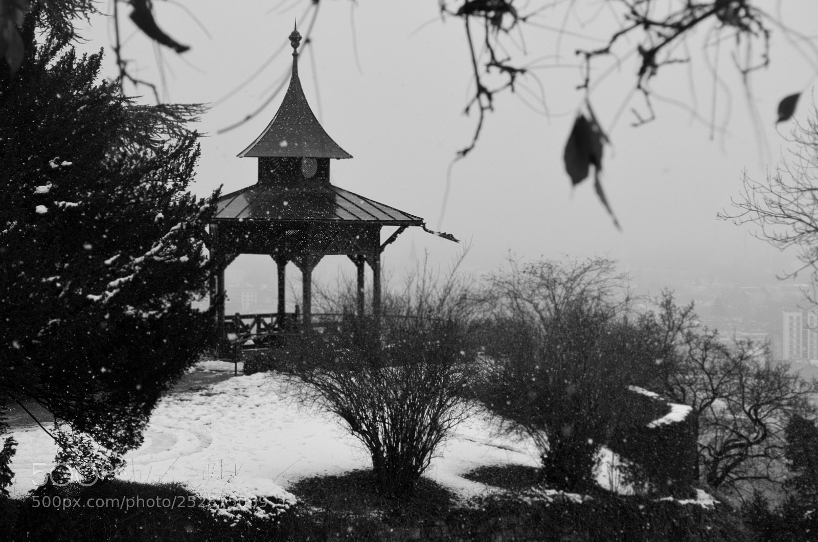 Nikon D5100 sample photo. Oriental in graz photography