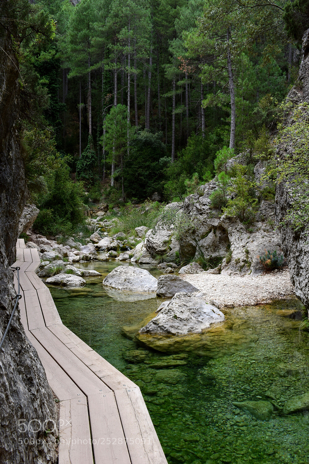 Nikon D3300 sample photo. Beseit photography