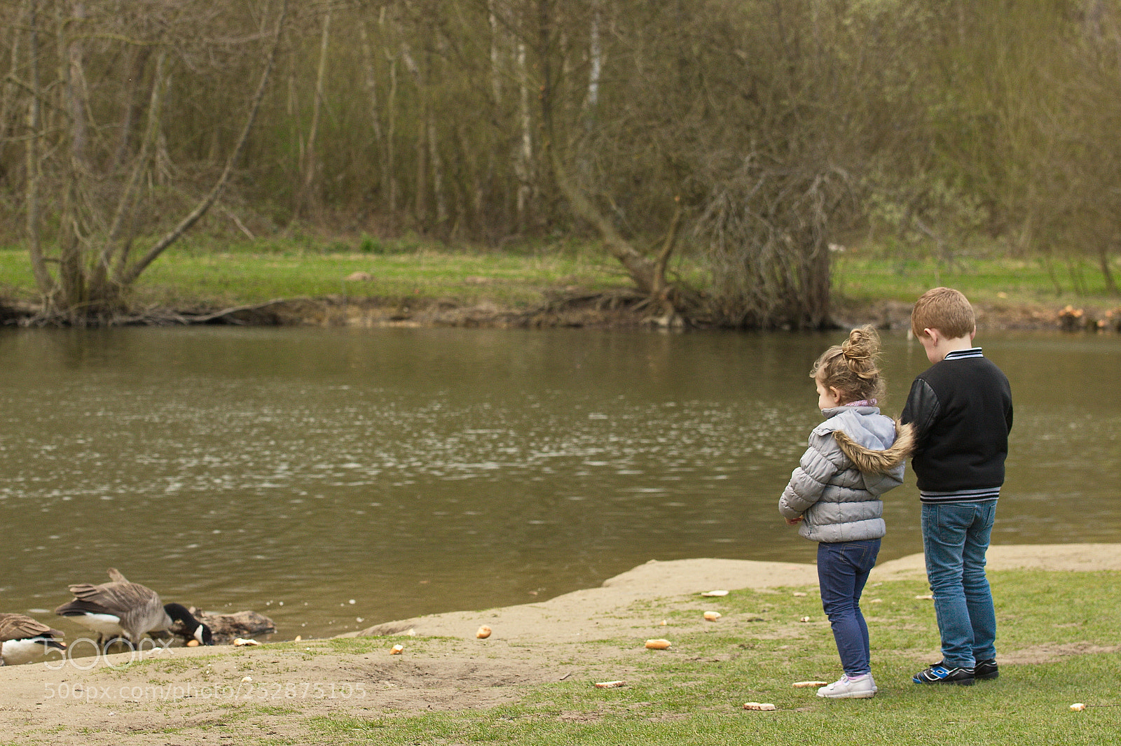 Canon EOS 700D (EOS Rebel T5i / EOS Kiss X7i) sample photo. Du pain aux canards photography