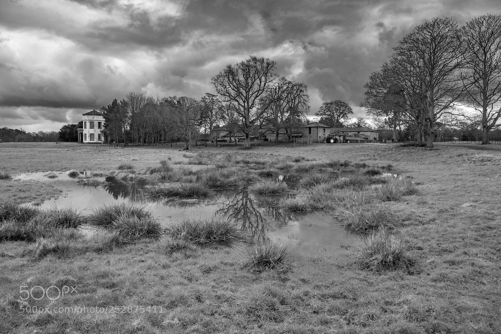 Nikon D500 sample photo. Shugborough estate staffordshire photography
