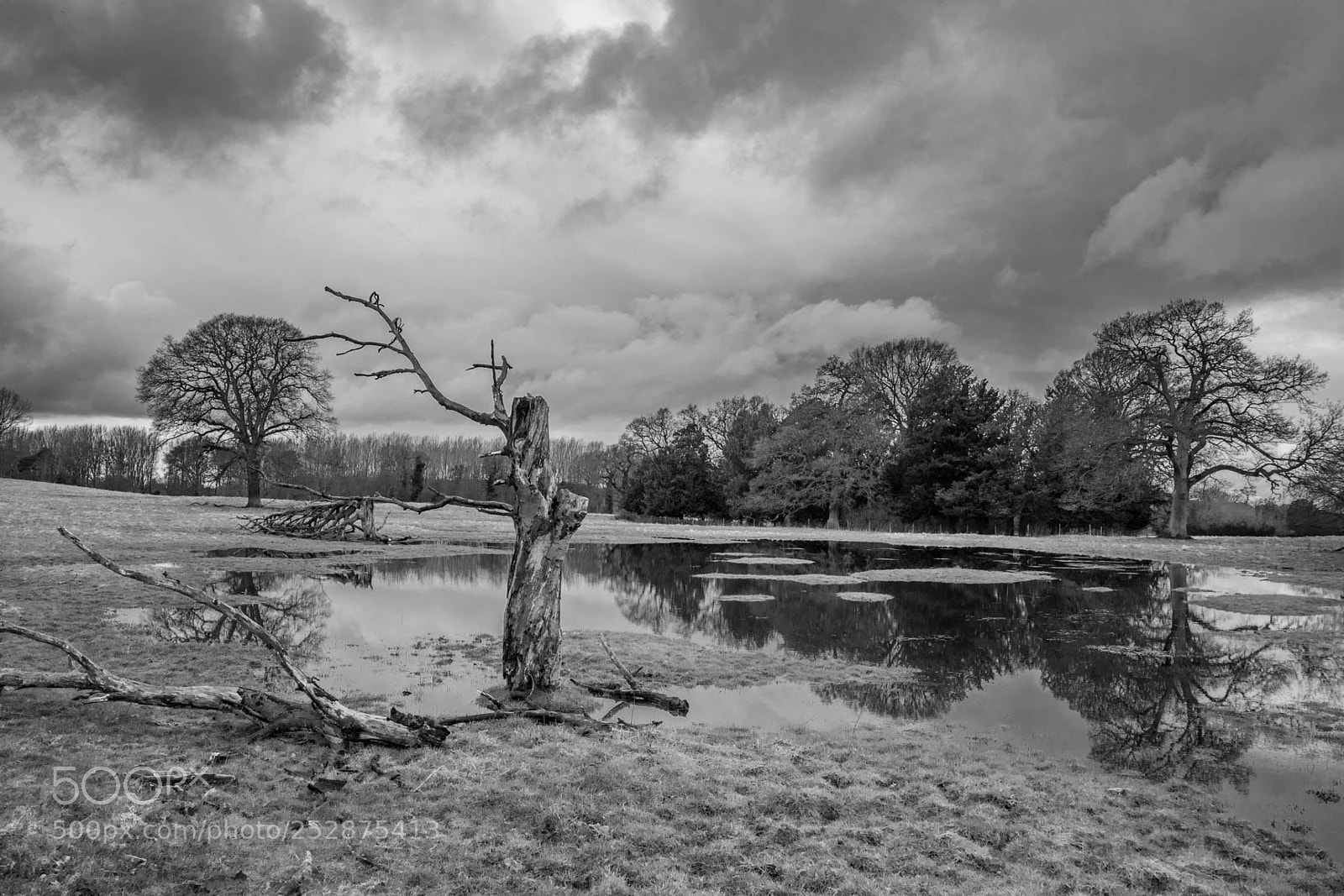 Nikon D500 sample photo. Shugborough estate staffordshire photography