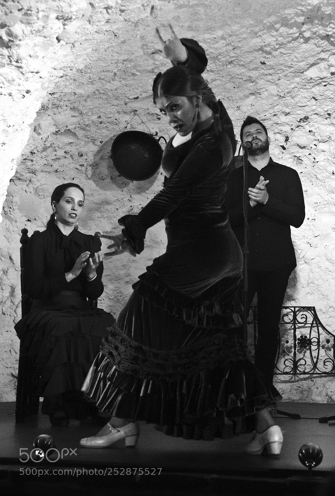 Nikon D7000 sample photo. Flamenco photography