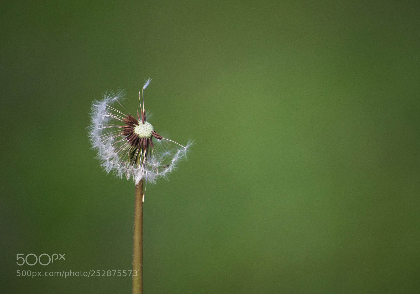 Nikon D5300 sample photo. What happens after a photography