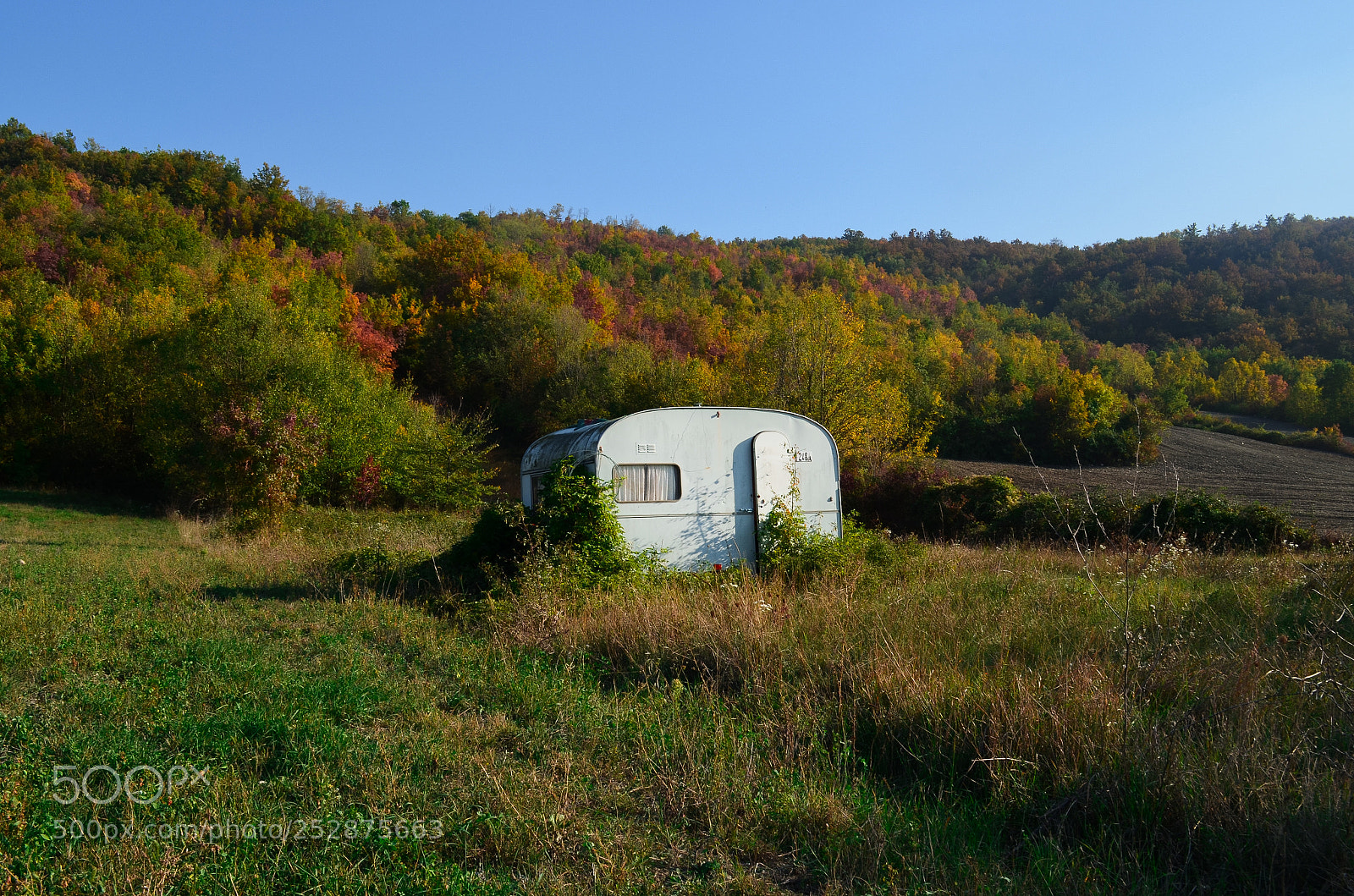 Nikon D5100 sample photo. Italian magic bus into photography