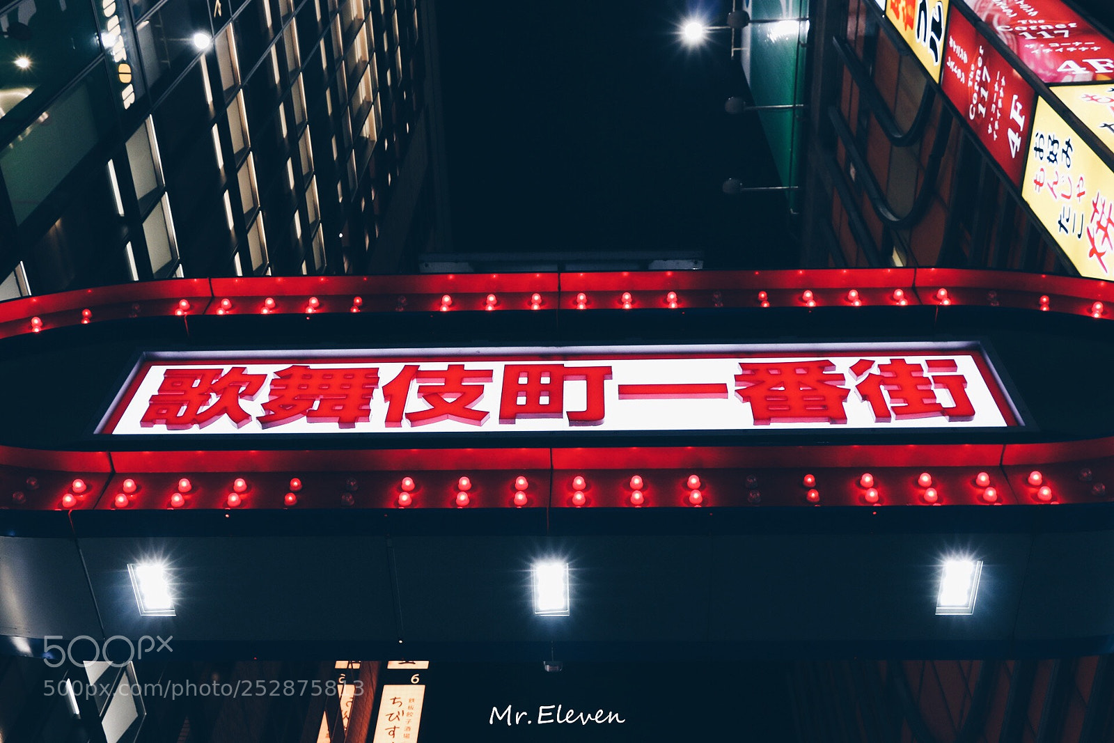 Canon EOS 70D sample photo. Kabukichou photography