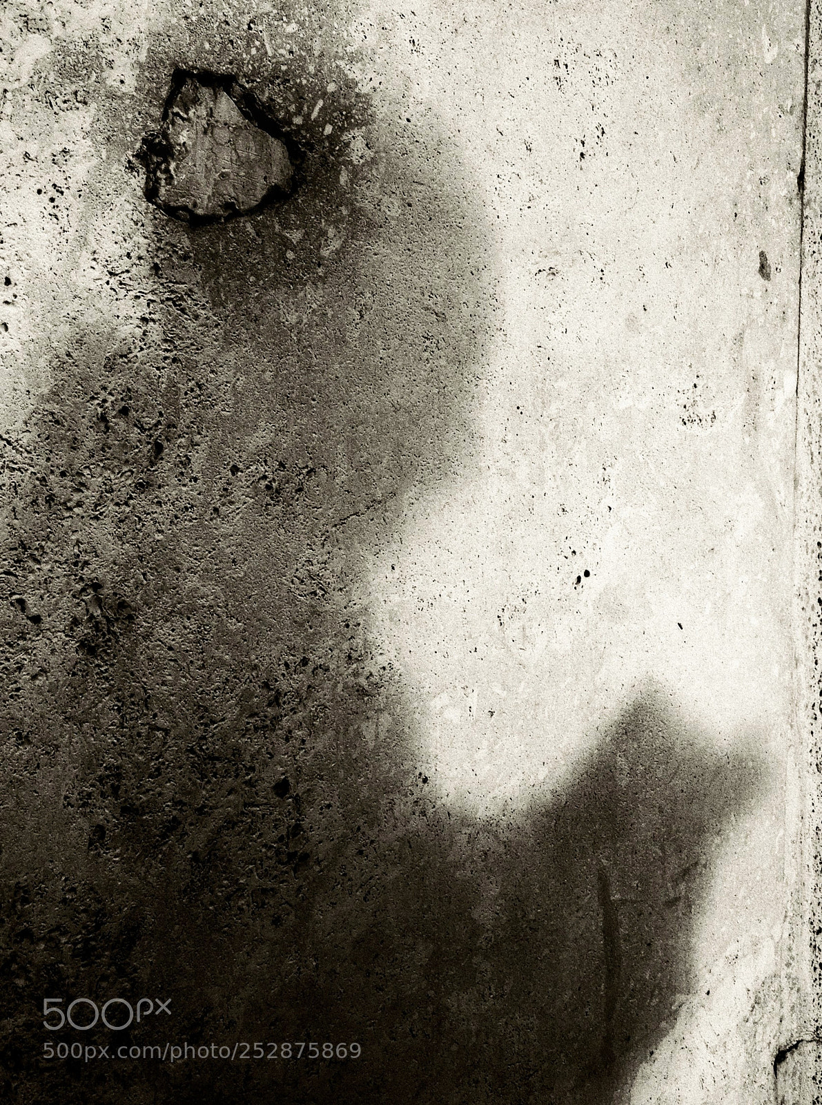 Nikon Coolpix A900 sample photo. Reading shadow photography