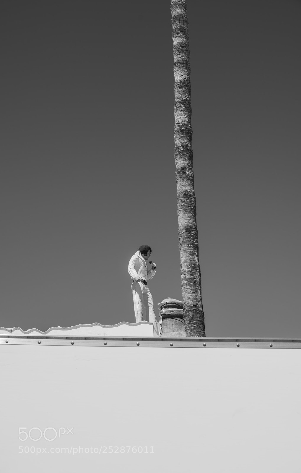 Nikon D810 sample photo. Elvis photography