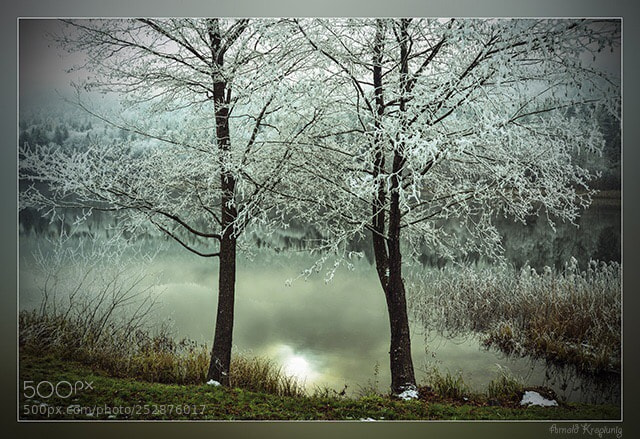 Nikon D600 sample photo. Am teich  photography