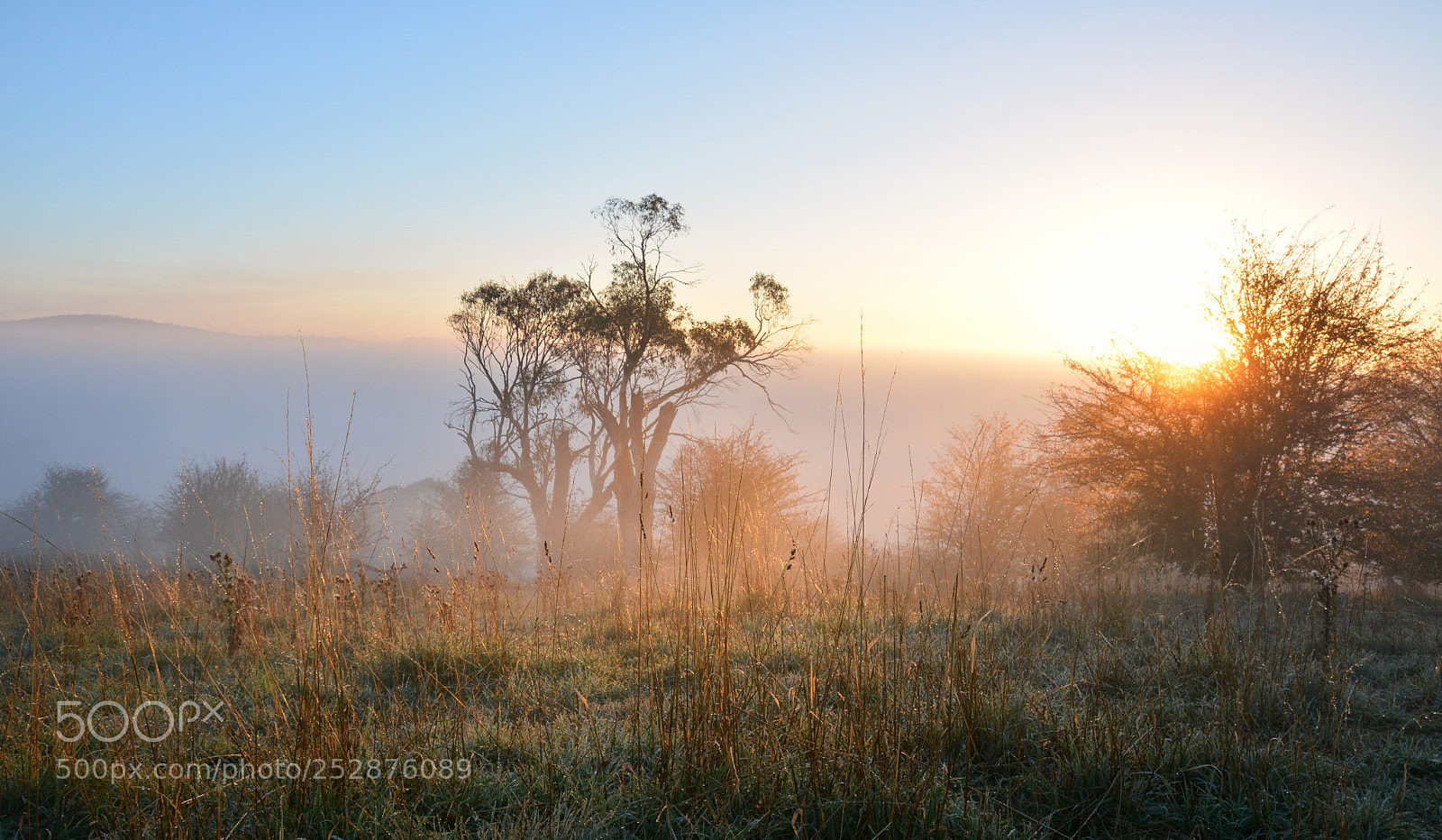 Nikon D7100 sample photo. When the sun comes photography
