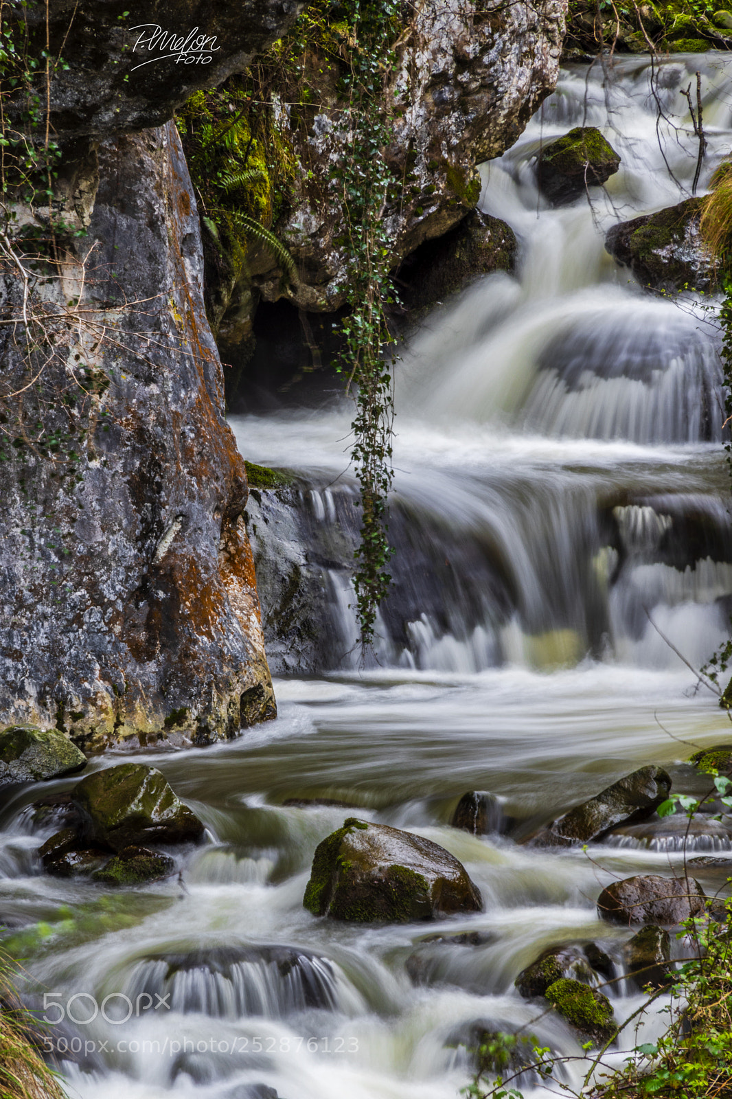 Sony SLT-A68 sample photo. Fuente de vida photography