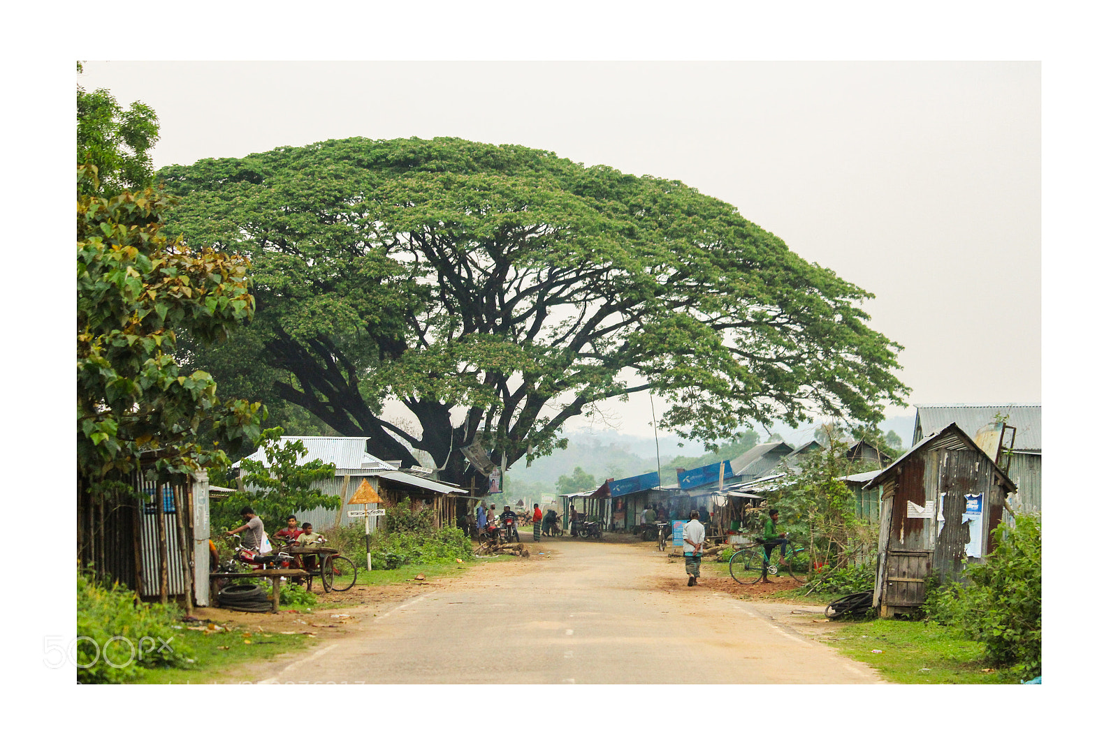 Canon EOS 700D (EOS Rebel T5i / EOS Kiss X7i) sample photo. Rural market of bangladesh photography