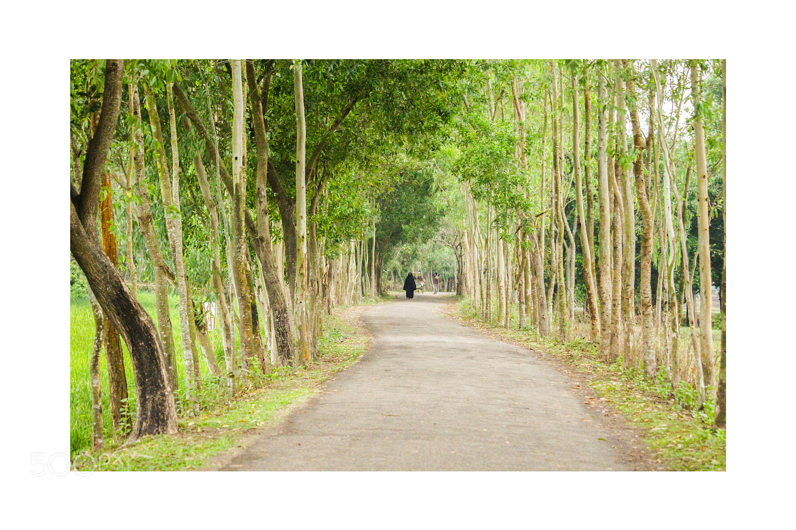 Canon EOS 700D (EOS Rebel T5i / EOS Kiss X7i) sample photo. Way of life photography