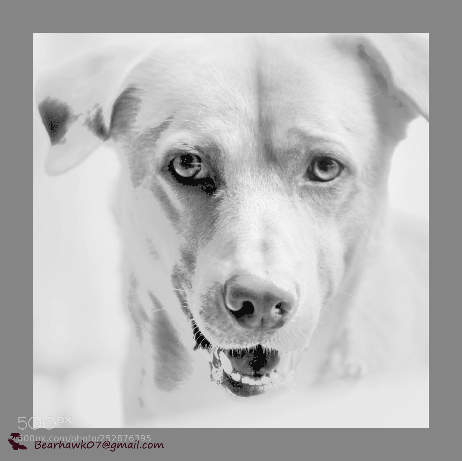 Nikon D7200 sample photo. Copy photography