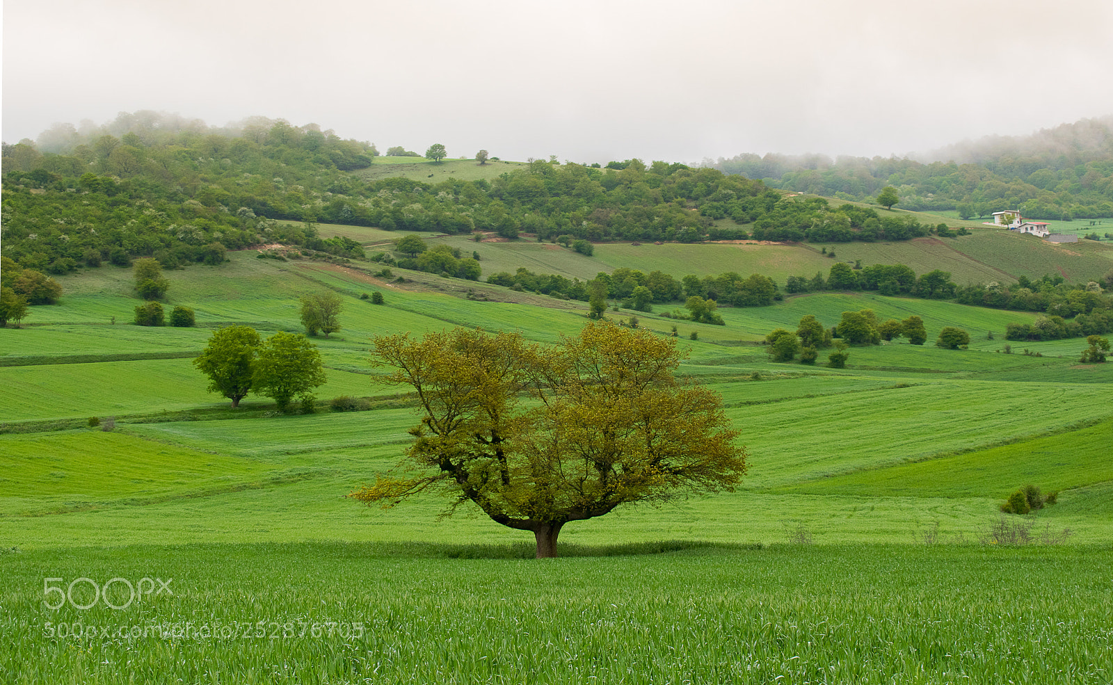 Nikon D5300 sample photo. Spring photography