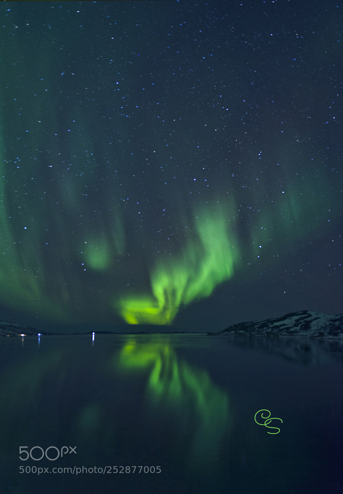 Nikon D800 sample photo. Green wings photography