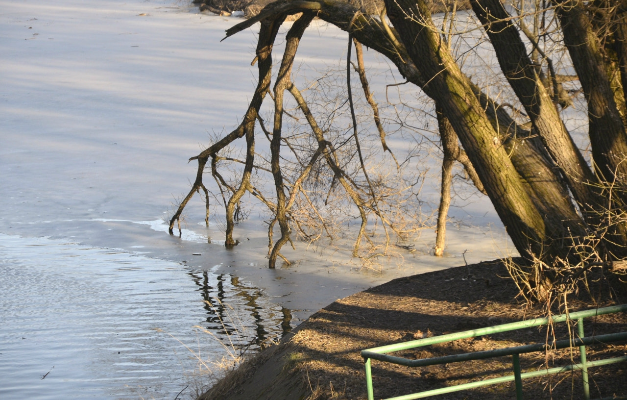 Nikon D600 sample photo. Aff eforig photography