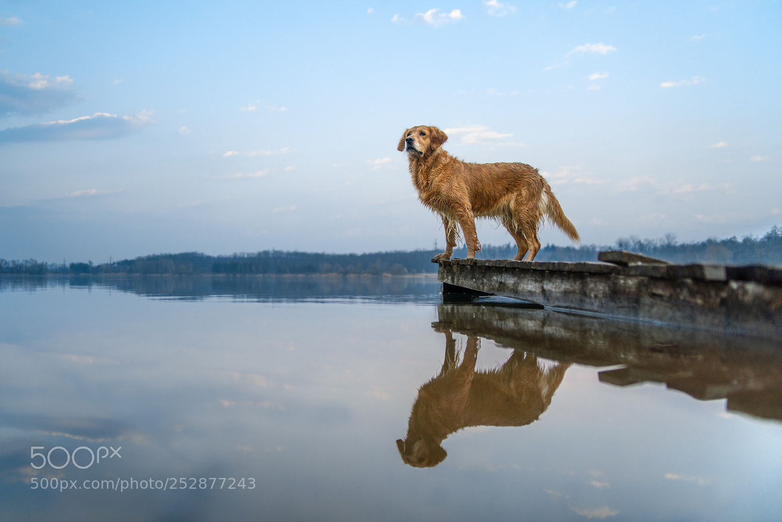 Sony a99 II sample photo. H2o love photography