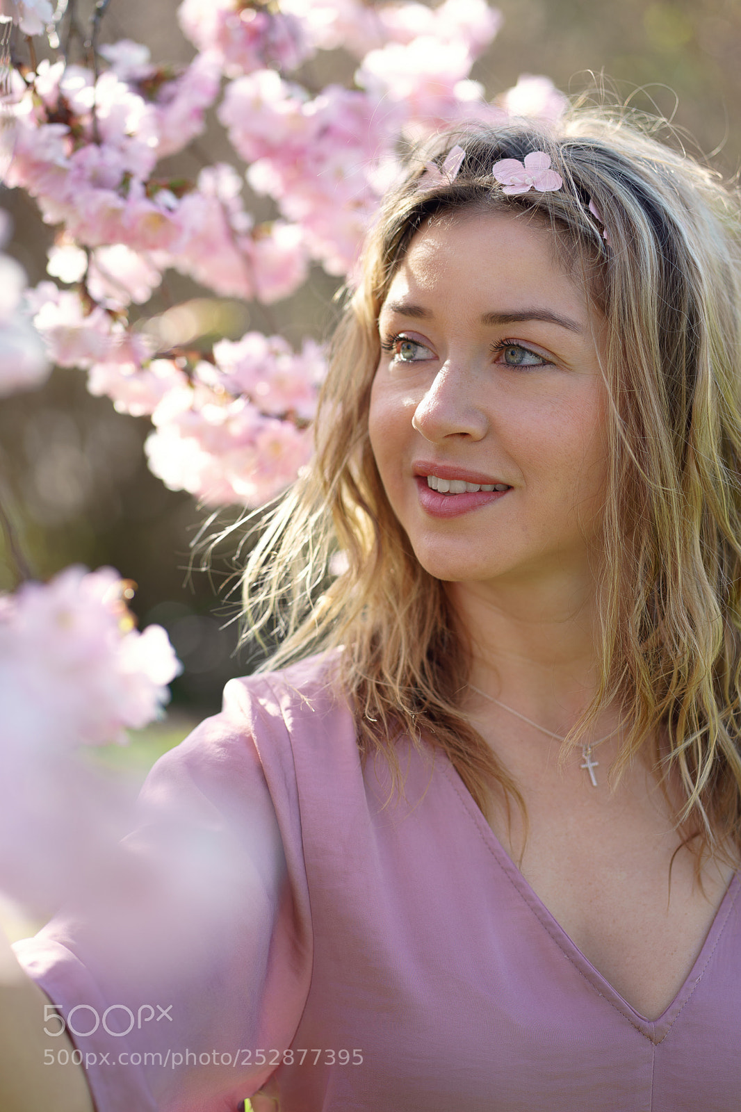 Sony a7 II sample photo. Cherryblossom photography