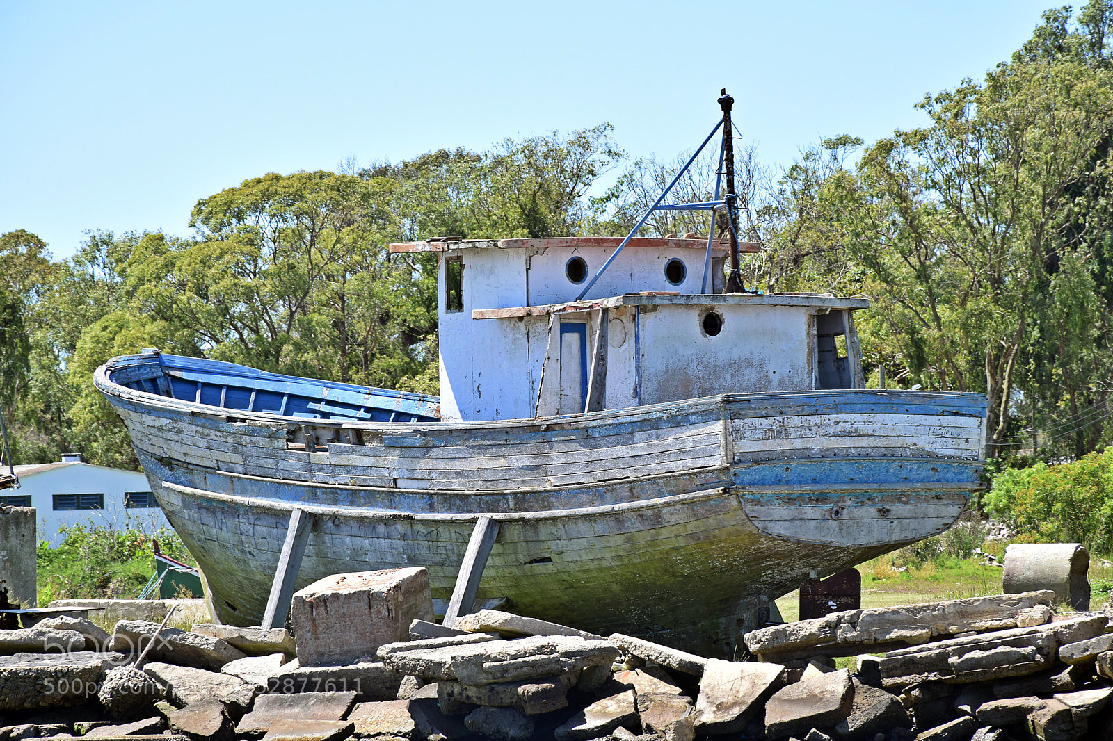 Nikon D5300 sample photo. The boat photography