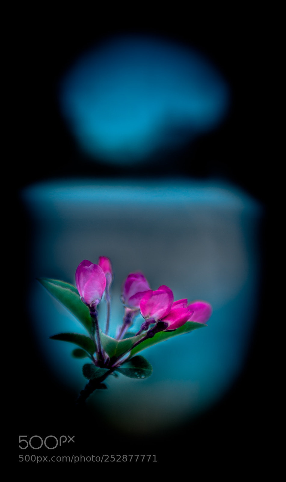 Canon EOS 6D Mark II sample photo. Untitled photography