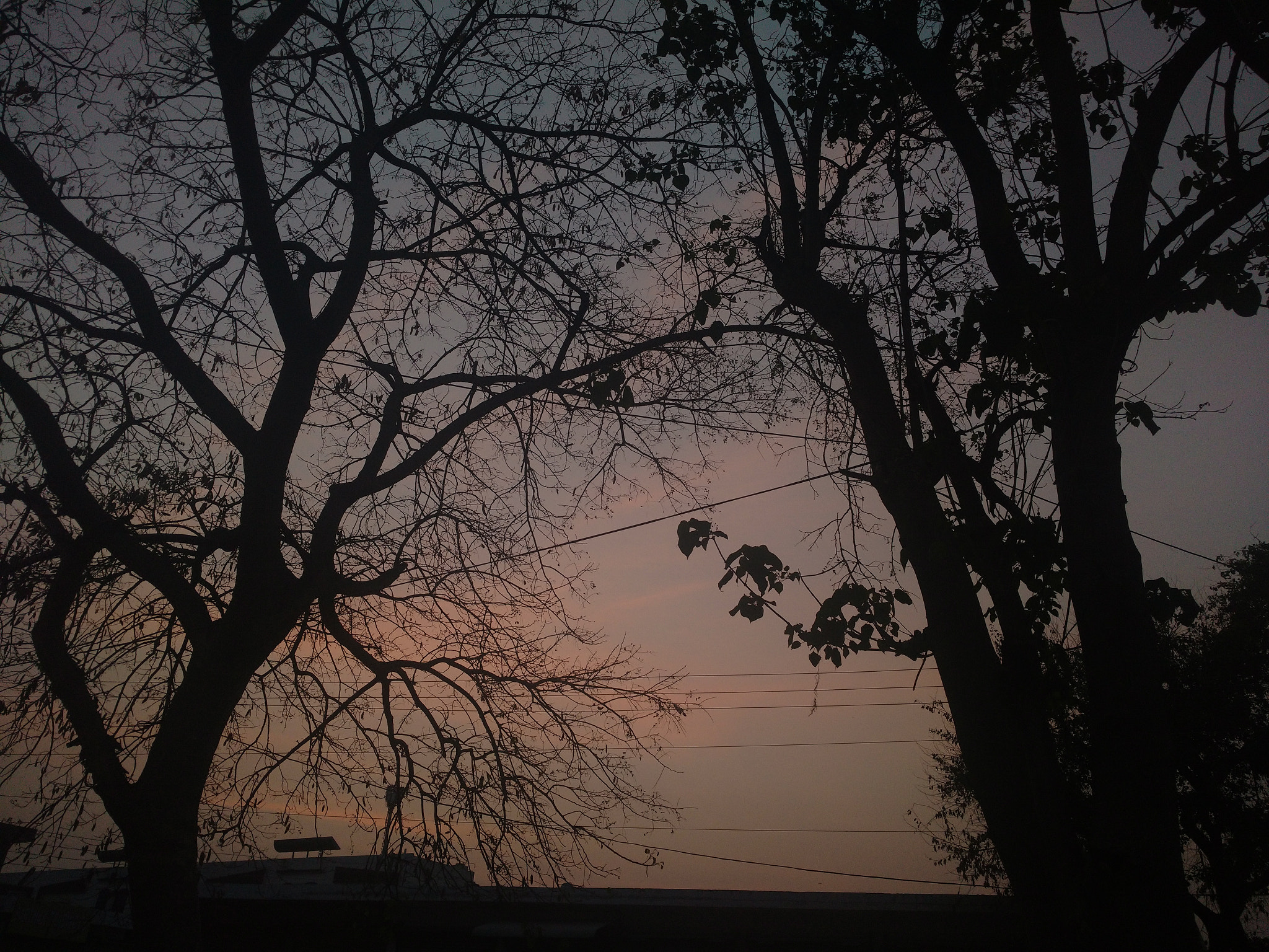 Motorola Moto X Play sample photo